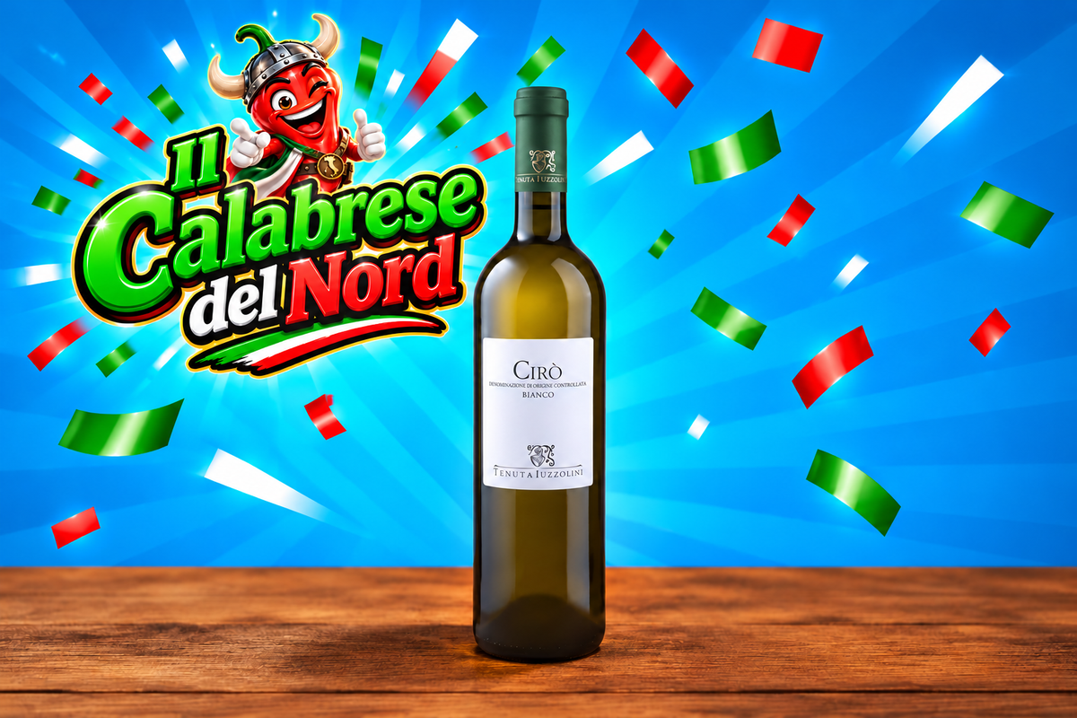 (RETAILERS) Cirò PDO wine winery "IUZZOLINI"