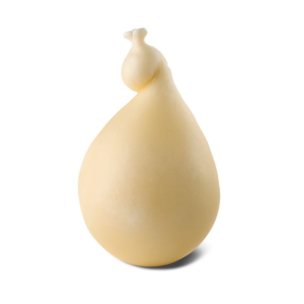 Il caciocavallo è un formaggio stagionato a pasta filata tipico dell’Italia meridionale. Prodotto con latte di vacca con l’aggiunta di solo caglio, fermenti lattici e sale, si conserva appeso a cavallo (da cui il nome) di una trave per l’essiccazione e si presenta, conseguentemente, sagomato in guisa di numero 8 con due corpi tondeggianti uniti da una strozzatura nel punto dove è legato. Ingredienti: Latte, caglio, sale. – PRODOTTO FATTO A MANO – PESO VARIABILE 1300/1400 gr.
