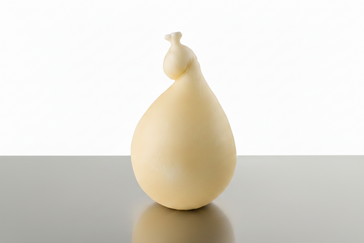 Il caciocavallo è un formaggio stagionato a pasta filata tipico dell’Italia meridionale. Prodotto con latte di vacca con l’aggiunta di solo caglio, fermenti lattici e sale, si conserva appeso a cavallo (da cui il nome) di una trave per l’essiccazione e si presenta, conseguentemente, sagomato in guisa di numero 8 con due corpi tondeggianti uniti da una strozzatura nel punto dove è legato. Ingredienti: Latte, caglio, sale. – PRODOTTO FATTO A MANO – PESO VARIABILE 1300/1400 gr.