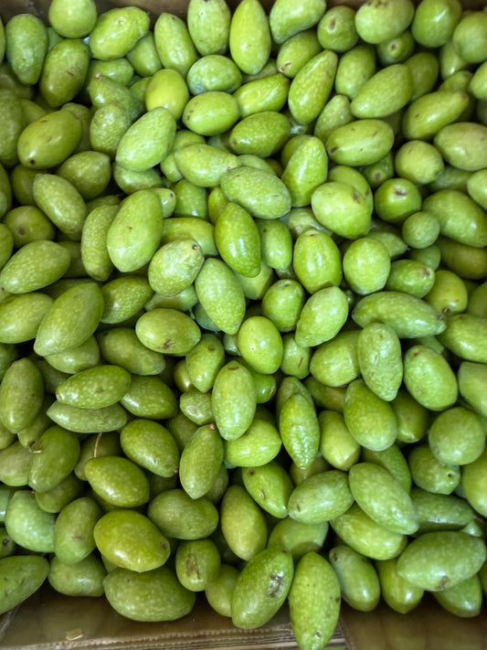 Olive Puglia