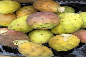 Fichi d'India