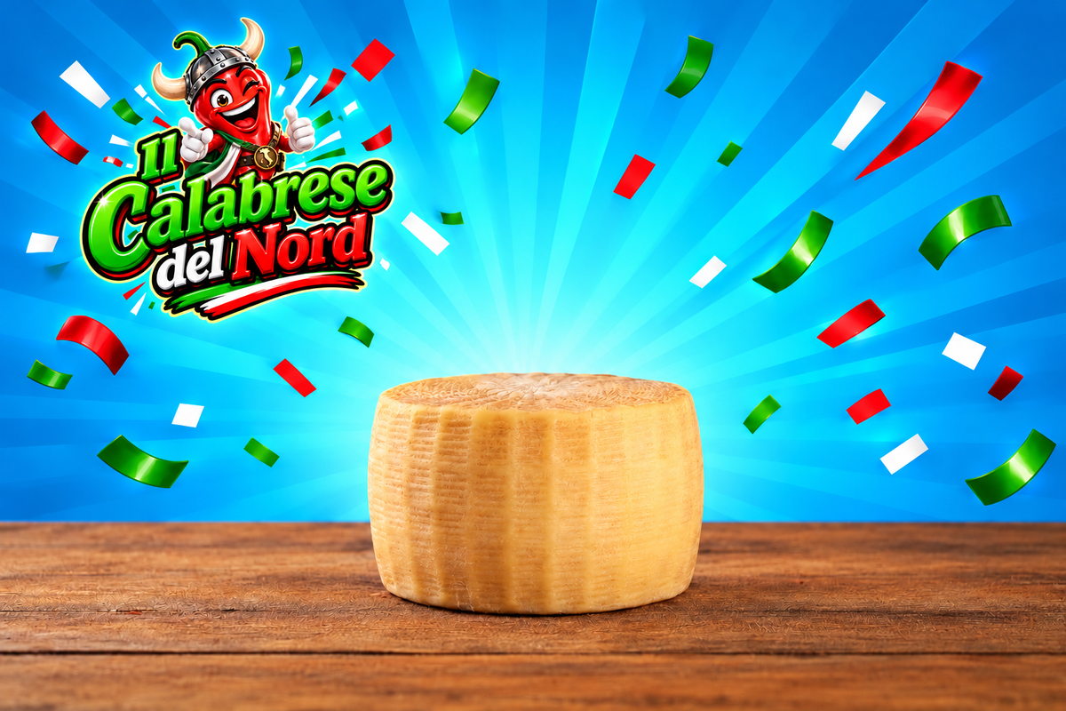 (GROSSISTI) Pecorino calabrese semiduro 16,8 € al kg. confezione da 950 gr. circa